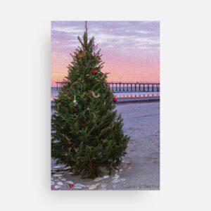 Christmas Tree on the Ventnor Beach card